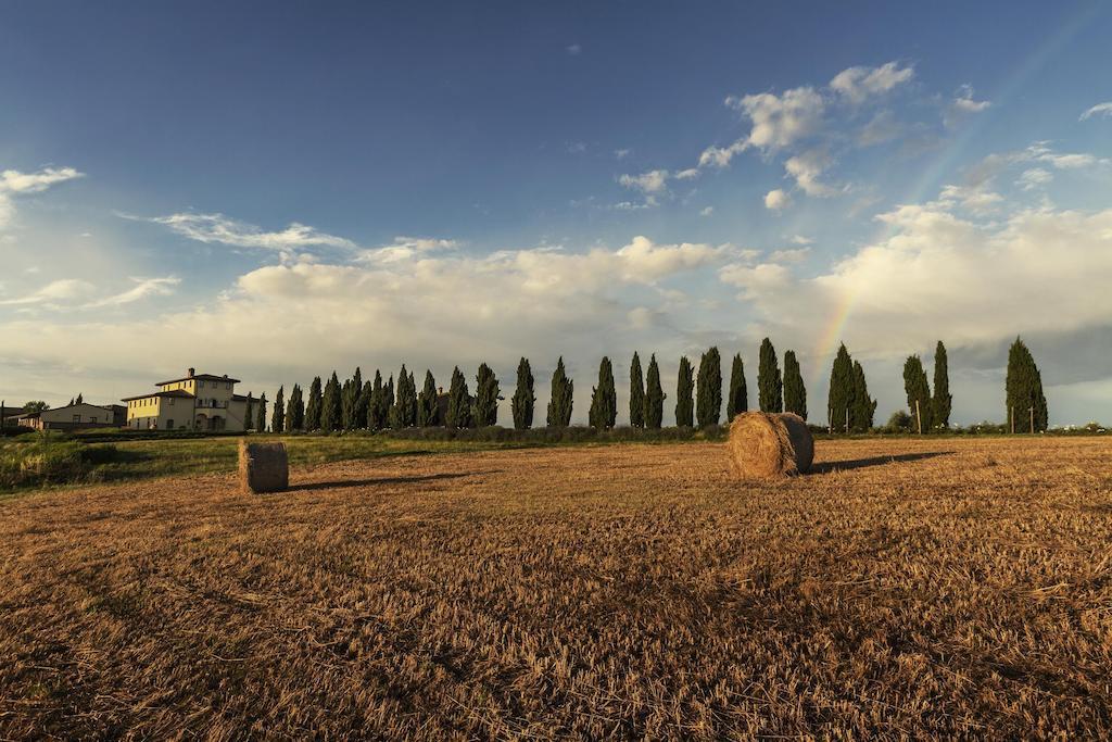 Casale Podernovo Daire Terricciola Dış mekan fotoğraf