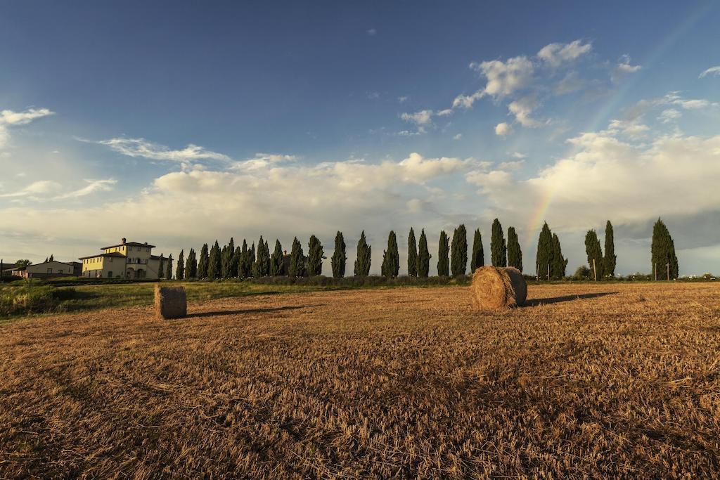 Casale Podernovo Terricciola Dış mekan fotoğraf